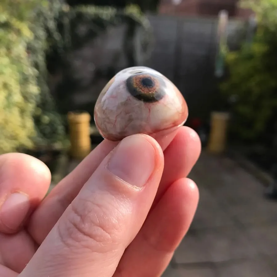 Prosthetic eye held up in bright sunshine, its iris colours shimmering with vibrant greens and golds in the warm light