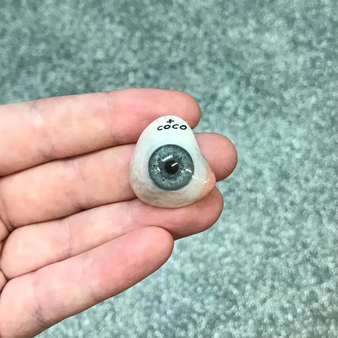 Side-by-side comparison showing a prosthetic eye alongside a natural eye, demonstrating the remarkably lifelike size, shape, and colour match