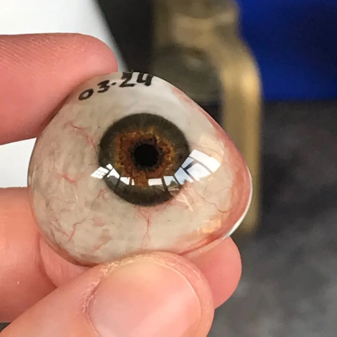 Prosthetic eye photographed in natural light, showing how the hand-painted iris and sclera shift realistically with changing illumination