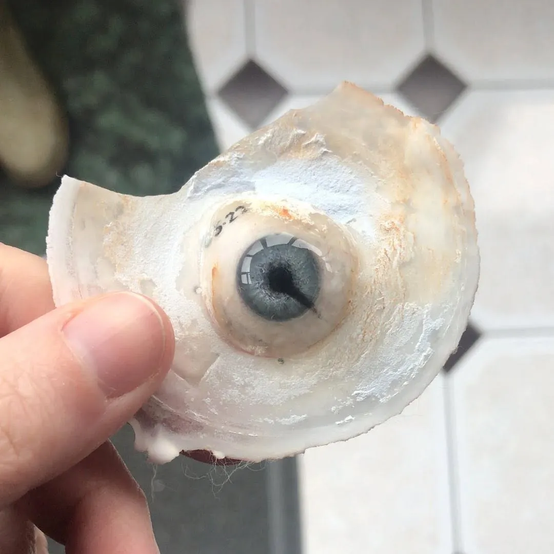 Work-in-progress prosthetic eye with vivid, richly layered iris pigments still drying, capturing a candid moment in the painting process